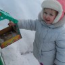 Зиму мы переживем- птичек наших сбережём!!! Зиму мы переживем- птичек наших сбережём!!!