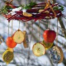 новогодний хоровод для пичужки новогодний хоровод для пичужки