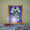 Мой любимый кот Барсик Мой любимый кот Барсик