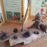 "Лесовичок" "Лесовичок"
