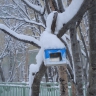 Новогодняя кормушка Новогодняя кормушка