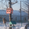 В столовой. В столовой.