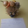 Запасы ёжика. Запасы ёжика.