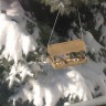 Кормушка из окна группы Кормушка из окна группы