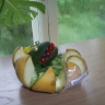 лягушка - квакушка лягушка - квакушка