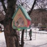 столовая для птиц столовая для птиц