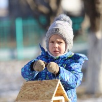Акция «кормушка для пичужки» Акция «кормушка для пичужки»
