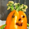 11.JPG Веселый человечек 11.JPG Веселый человечек
