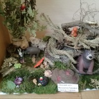 "Осень в лесу" "Осень в лесу"