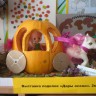 Пони и волшебная карета Пони и волшебная карета