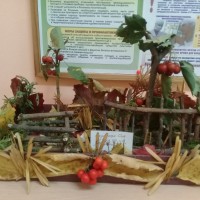 Осенний сад Осенний сад