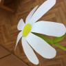 Ромашка Ромашка