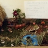 Осенняя фантазия Осенняя фантазия