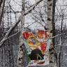 Новогодняя кормушка! Новогодняя кормушка!