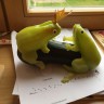 "Царевна-лягушка" "Царевна-лягушка"