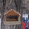 Птичкино кафе Птичкино кафе