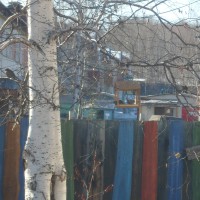 кормушка для птиц кормушка для птиц