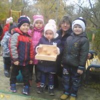 Наша кормушка Наша кормушка