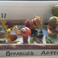 "Улитки в природе!" "Улитки в природе!"