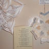 DSCN0348.jpg