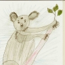 Коала Коала