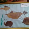 "Рыбки в аквариуме" "Рыбки в аквариуме"
