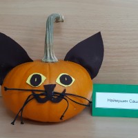 Котик