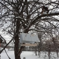 Домик для птичек Домик для птичек