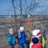 Домики для пернатых Домики для пернатых