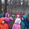 Кормушка 2016 Кормушка 2016