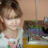 Столовая для пернатых друзей Столовая для пернатых друзей