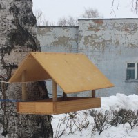 " Кормушка для птиц" " Кормушка для птиц"