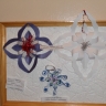 DSCN0342.jpg