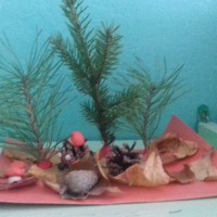 Осенний лес Осенний лес