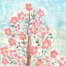 Яблоня в цвету Коваленко Сережа