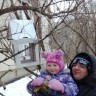 Покормим зимующих птиц Покормим зимующих птиц
