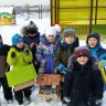 Помогаем нашим пернатым друзьям пережить зиму Помогаем нашим пернатым друзьям пережить зиму