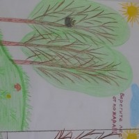 «Береги природу» «Береги природу»