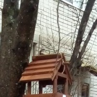 столовая для птиц столовая для птиц