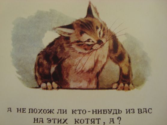 Смотреть фотографию №10 Фото №10 Я СЛУЧАЙНО НАТКНУЛАСЬ НА ОЧЕНЬ ЗАБАВНУЮ И ЭМОЦИОНАЛЬНУЮ КНИГУ