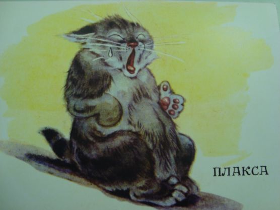 Смотреть фотографию №11 Фото №11 ЗДЕСЬ ВСЕ ЖИЗНЕННЫЕ ЭМОЦИИ НО В ОБРАЗЕ ЛЮБИМОГО ЖИВОТНОГО