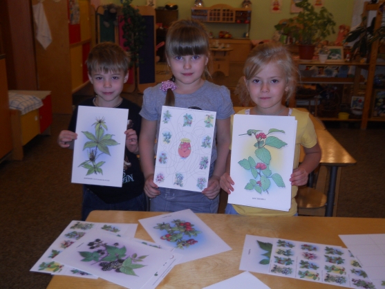 Ягода малинка, брусника и калинка… Фото Ягода малинка, брусника и калинка…