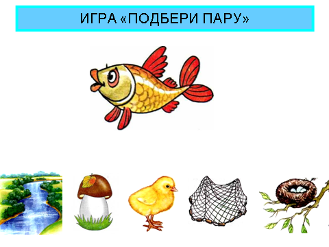 Дидактическая игра «Подбери пару» Фото Дидактическая игра «Подбери пару»