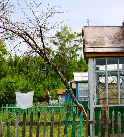 Смотреть фотографию №2 Фото №2 Почти каждое лето мы ездили отдыхать в деревню Захарово Вологодской области