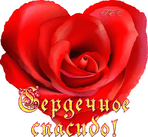 Благодарность Фото Благодарность
