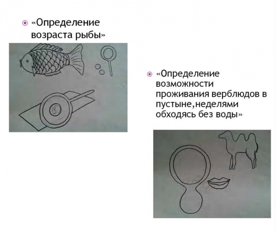 Смотреть фотографию №9 Фото №9 С успехом мы с коллегами используем их в работе