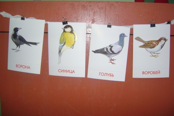 Планирование по теме птицы средняя группа. Птицы вторая младшая группа. Птицы младшая группа занятие. Птицы средняя группа. Птицы для 1 младшей группы.