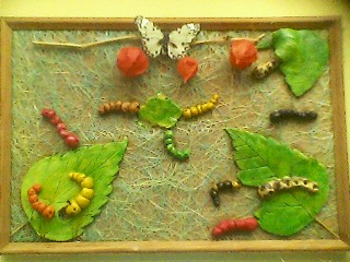 «Волшебное превращение бабочки». Тестопластика