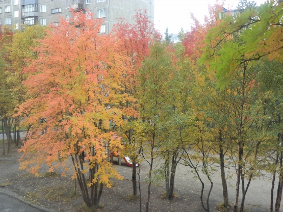 Смотреть фотографию №3 Фото №3 И действительно
