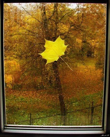 Мои стихи. Фото Мои стихи.